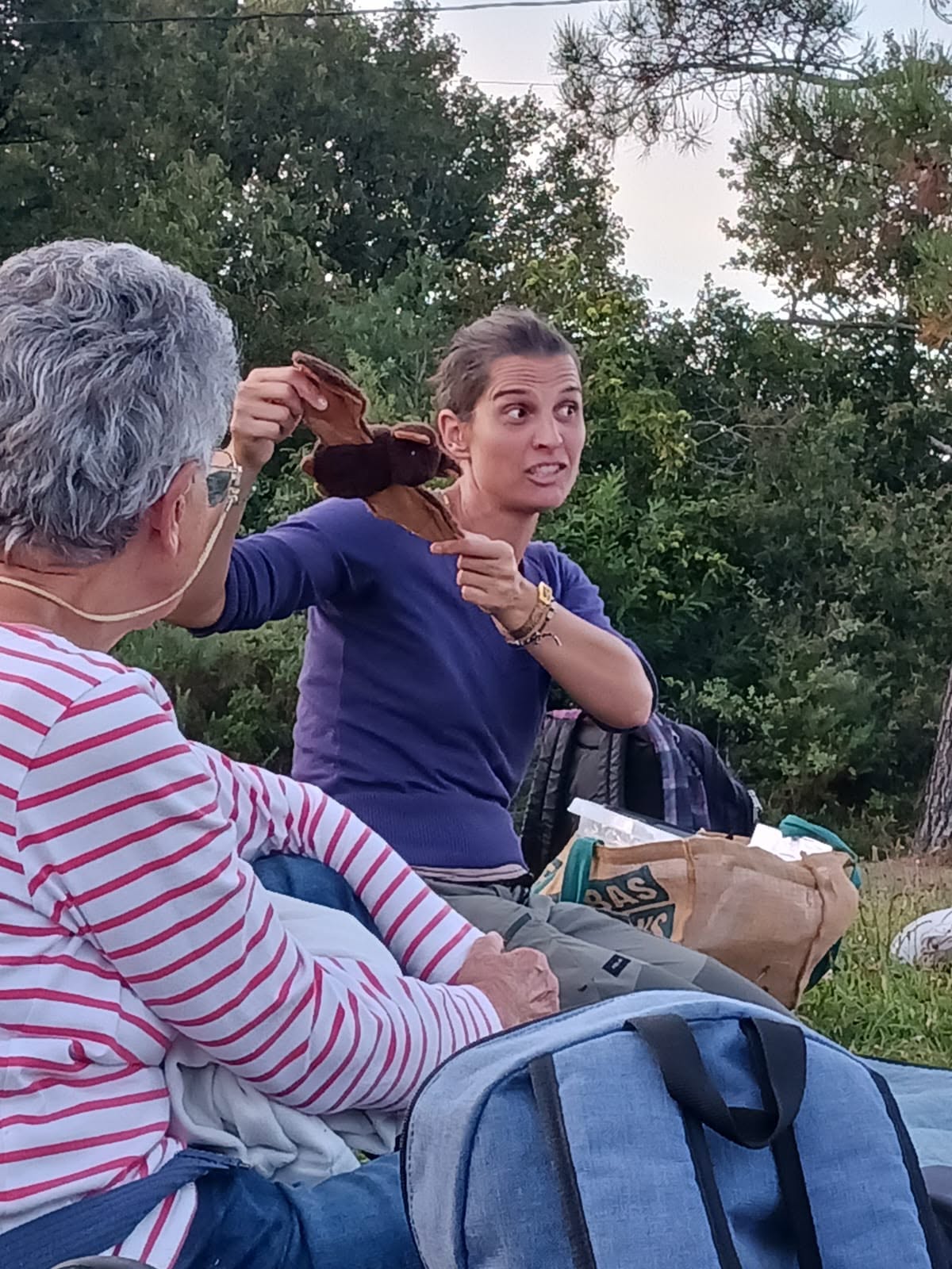 Veillée "A la rencontre des chauves-souris"