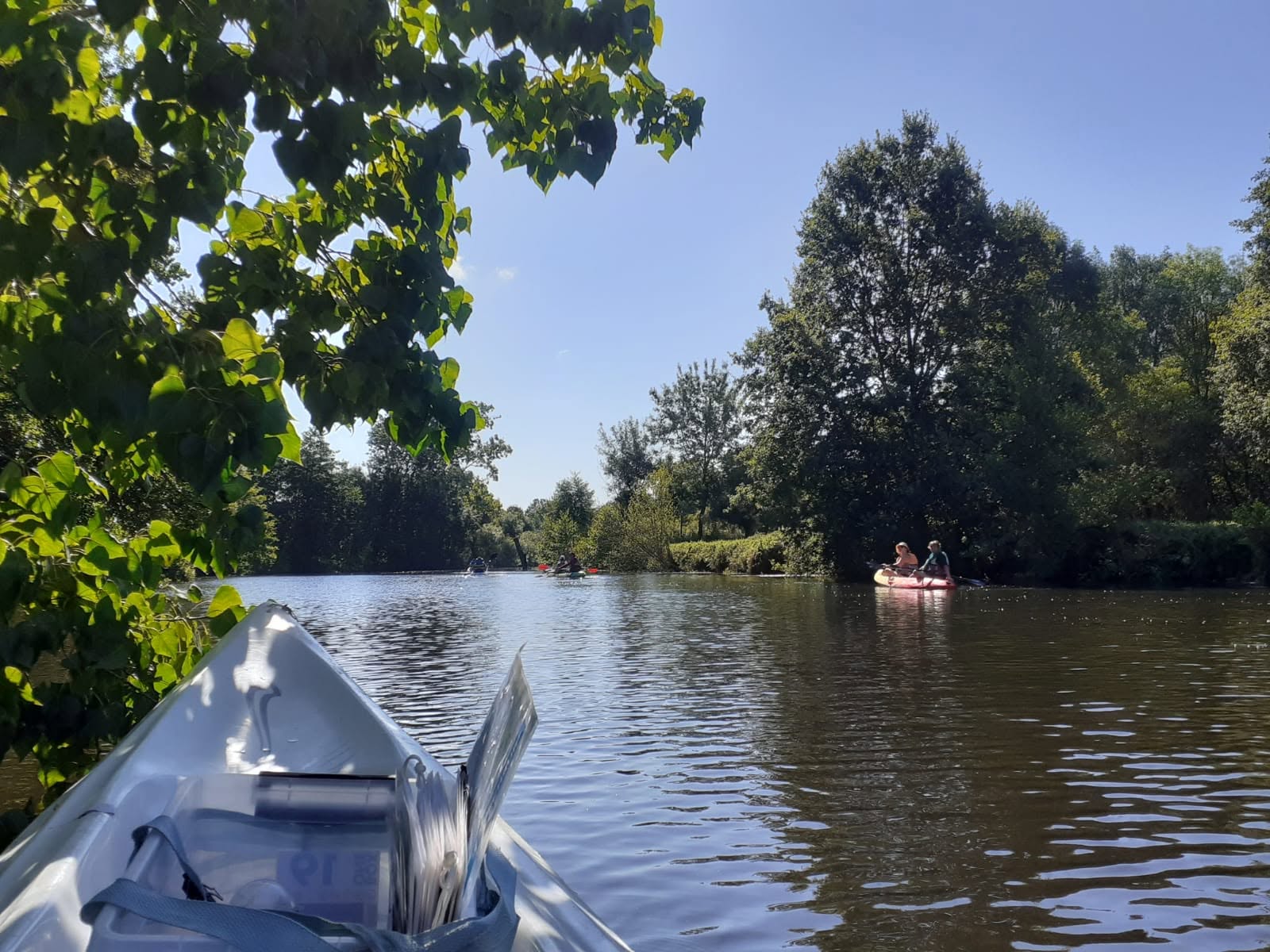 Kayak et Nature dans le marais