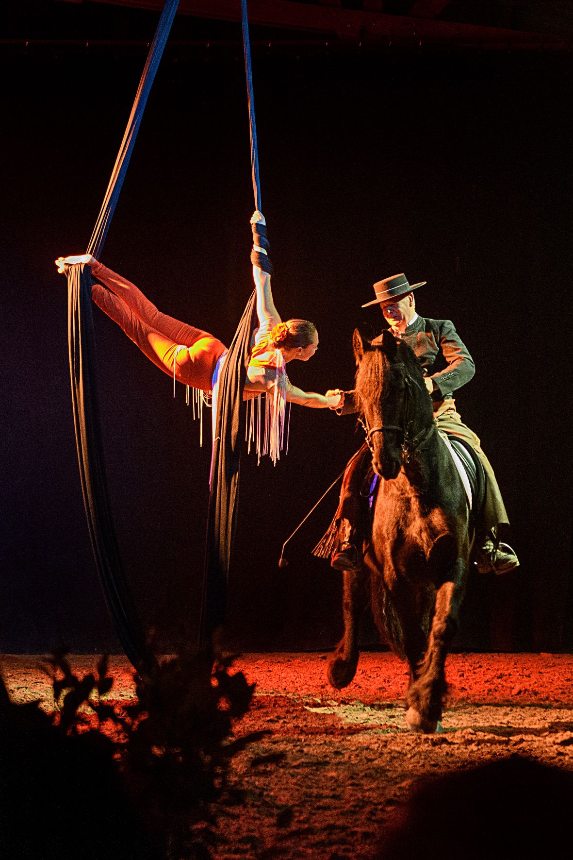 Les chevaux dansent à la bodega - Cabaret équestre