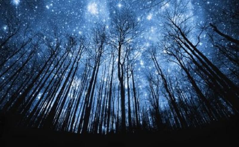 Sortie adhérents - Nuit des étoiles