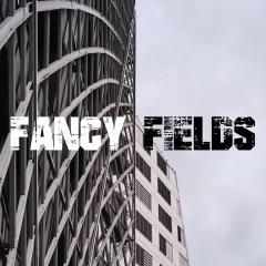 Concert "Fancy Fields"