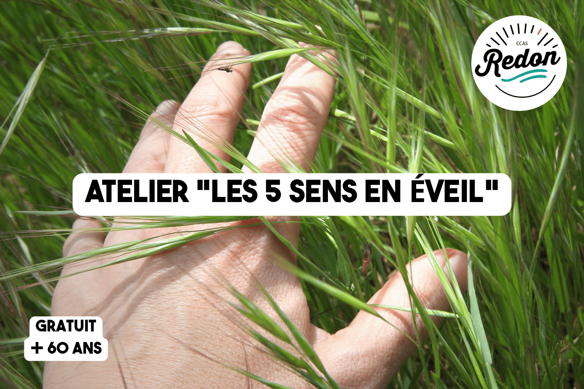 Ateliers Les 5 sens en éveil