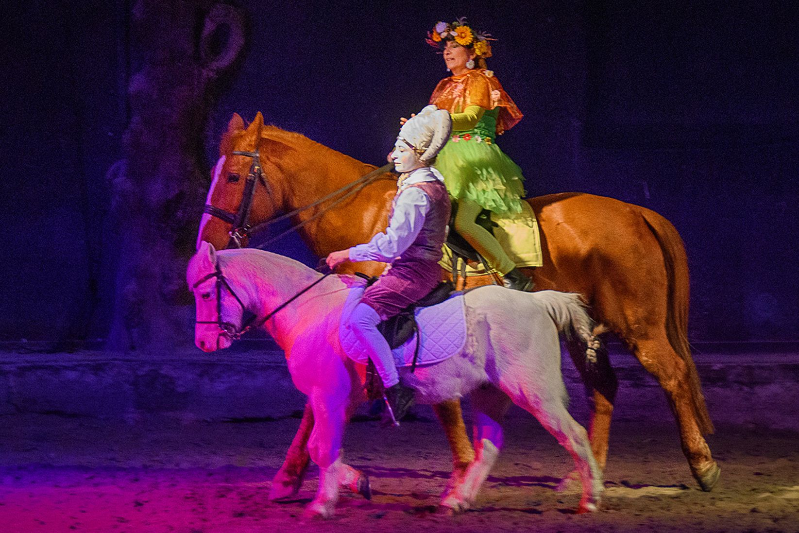 Les chevaux dansent à la bodega - Cabaret équestre