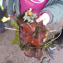 Balade \"Contes et immersion nature\"