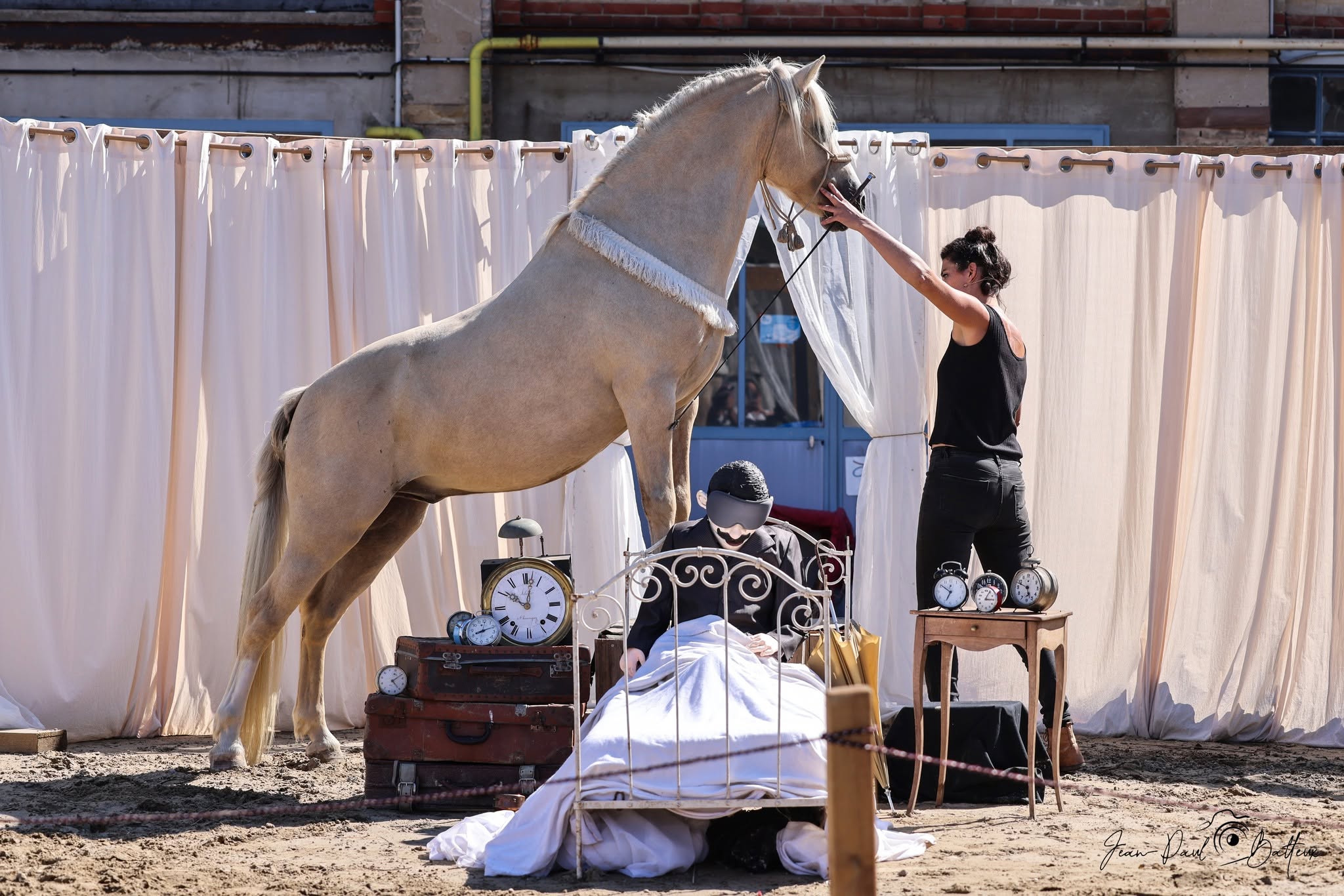 Spectacle équestre et marionnettes