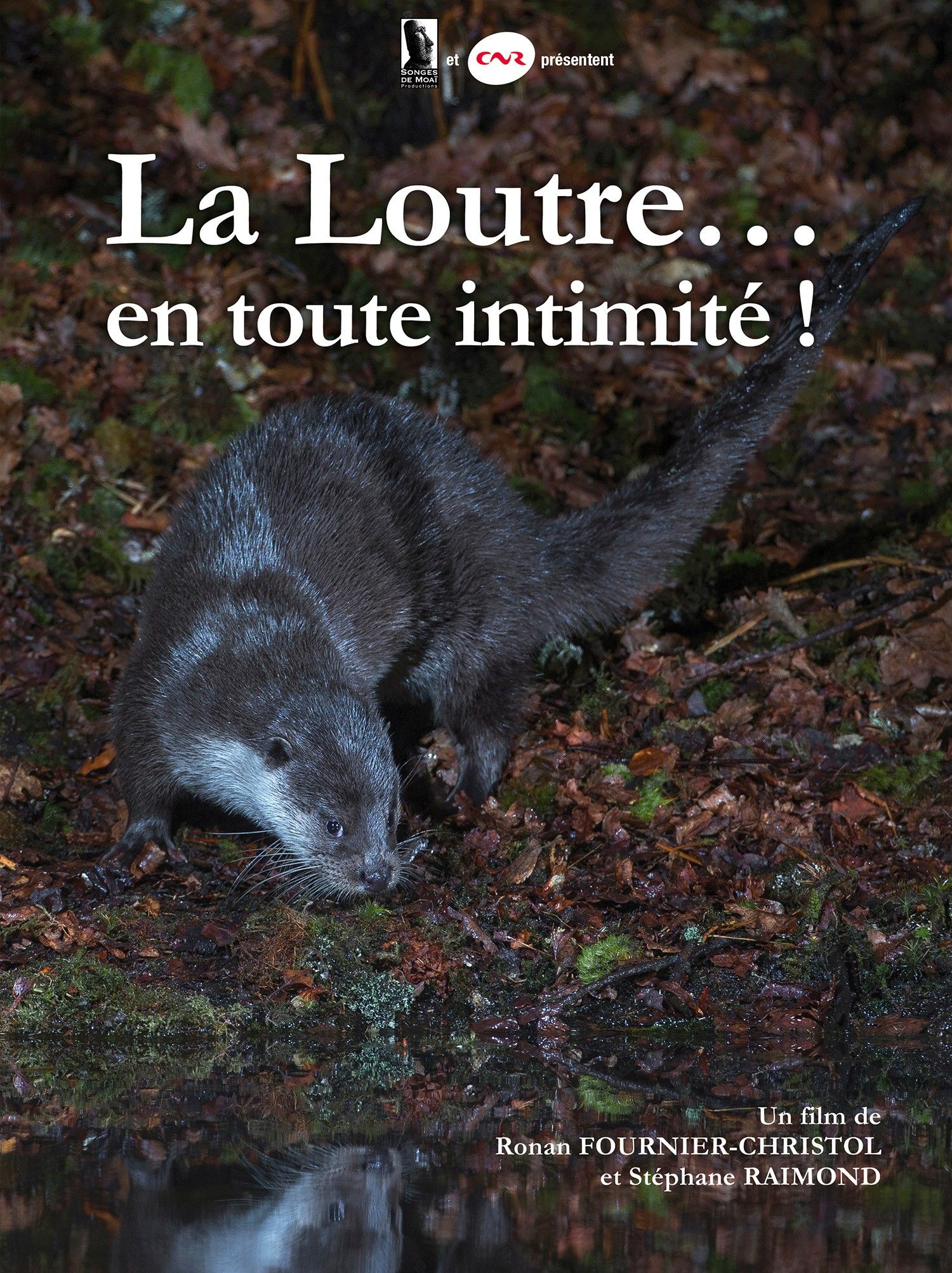 Projection du documentaire